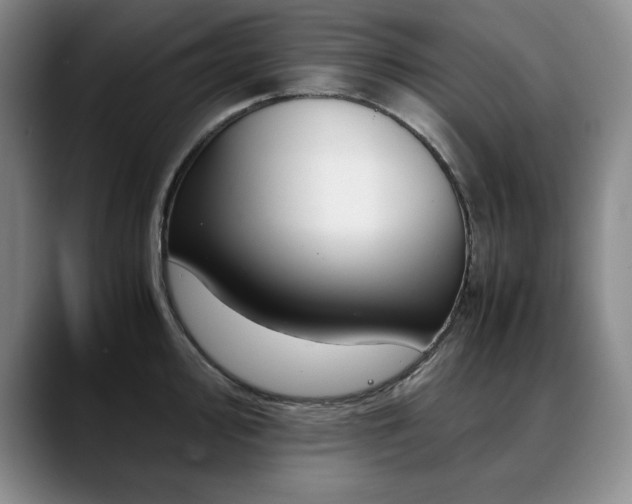 X0000090601000200707171329
