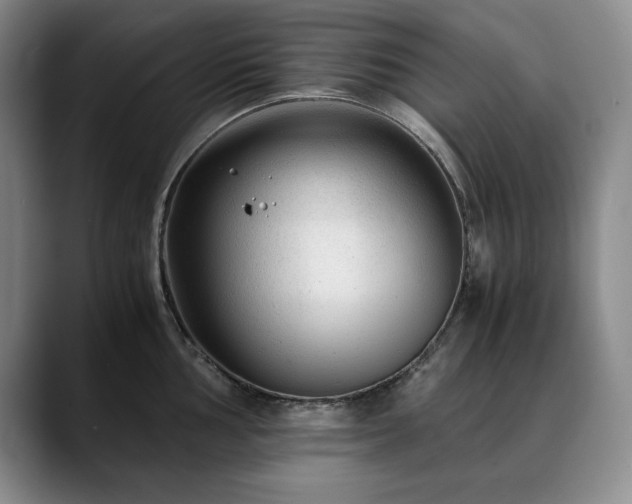 X0000090601002200707171329