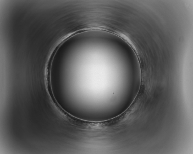 X0000090601003200707171329
