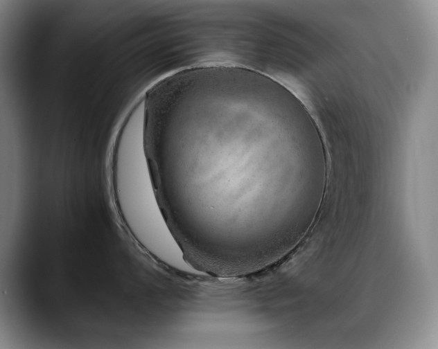 X0000090601008200707171329