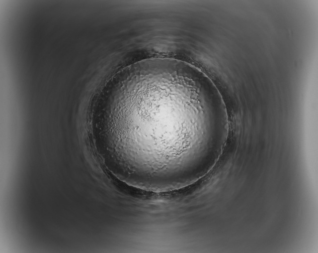 X0000090601009200707171328