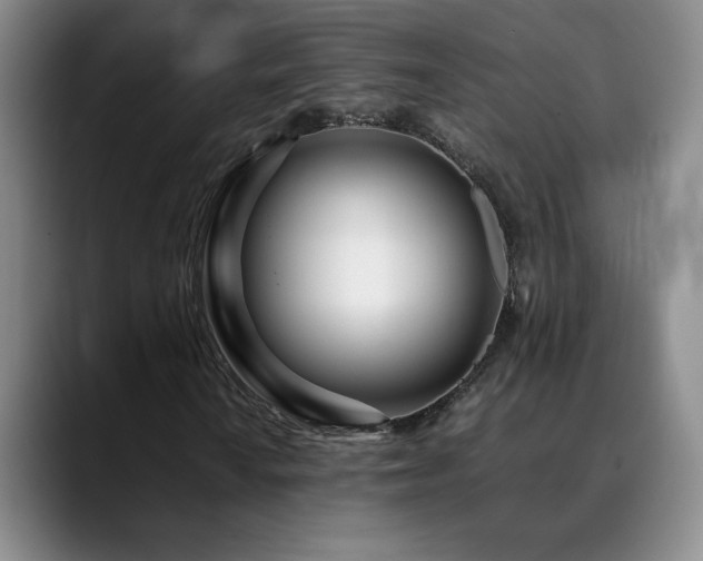 X0000090601010200707171328