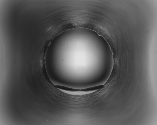X0000090601012200707171328