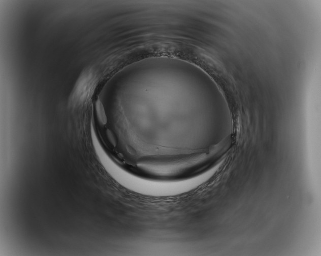 X0000090601013200707171328
