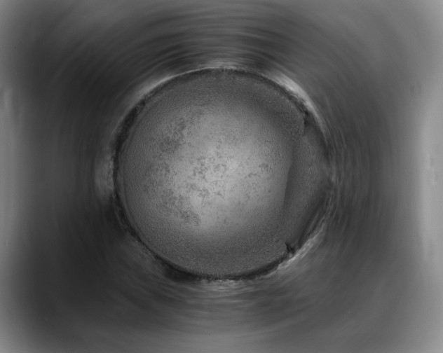X0000090601019200707171329