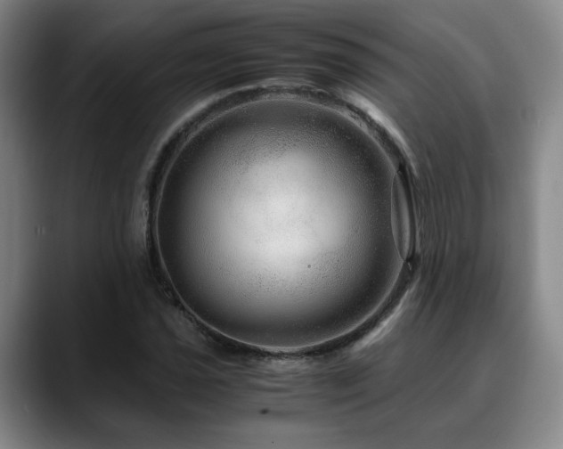 X0000090601021200707171329
