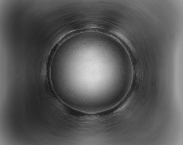 X0000090601023200707171329