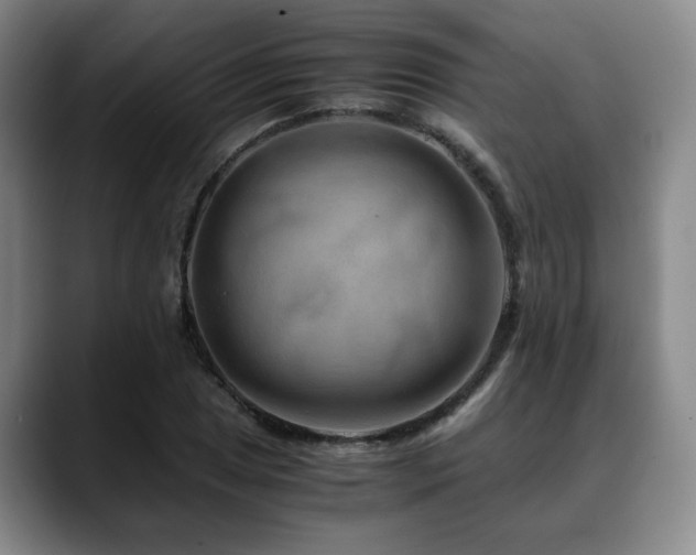 X0000090601025200707171329