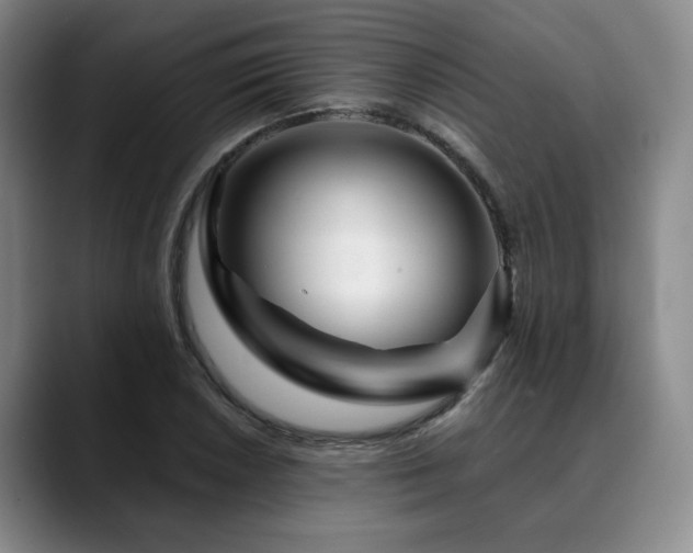 X0000090601026200707171329