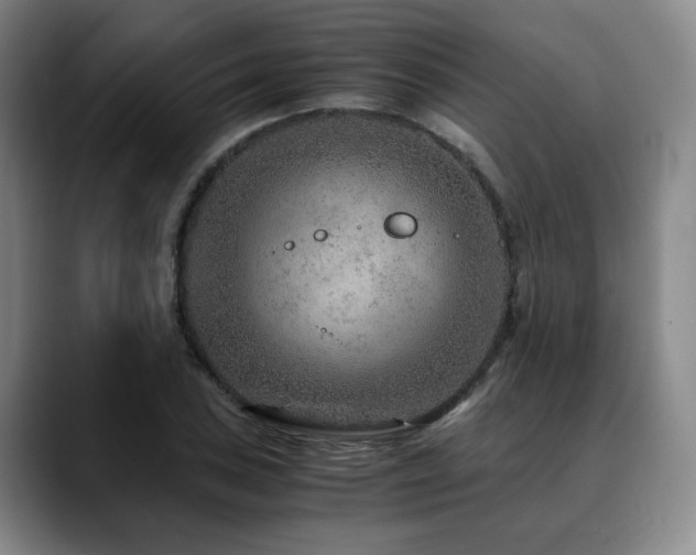 X0000090601027200707171329