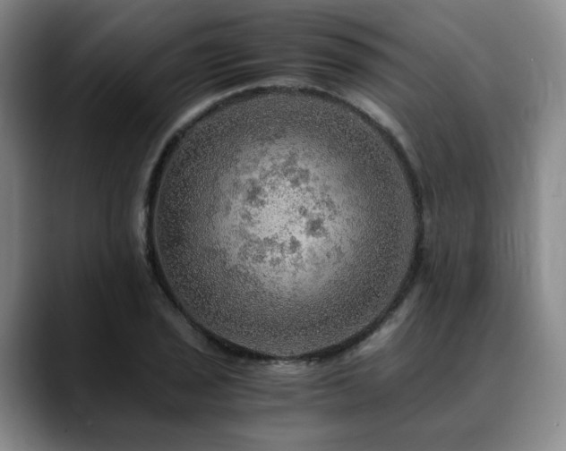 X0000090601029200707171329
