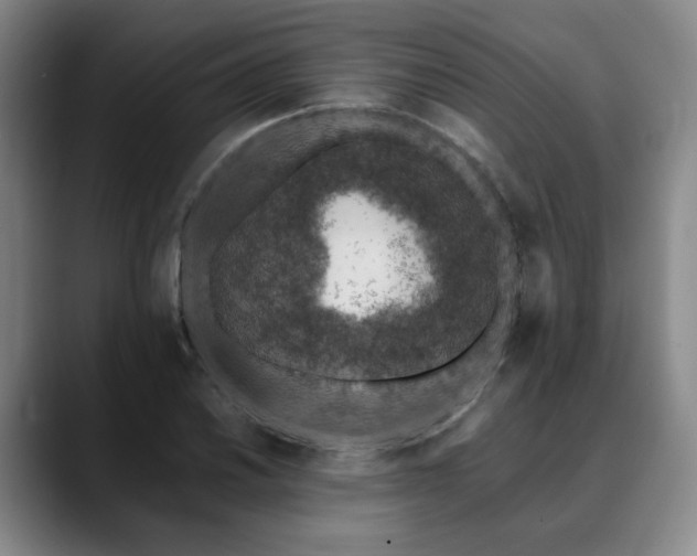 X0000090601030200707171329