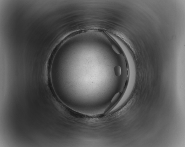 X0000090601031200707171329