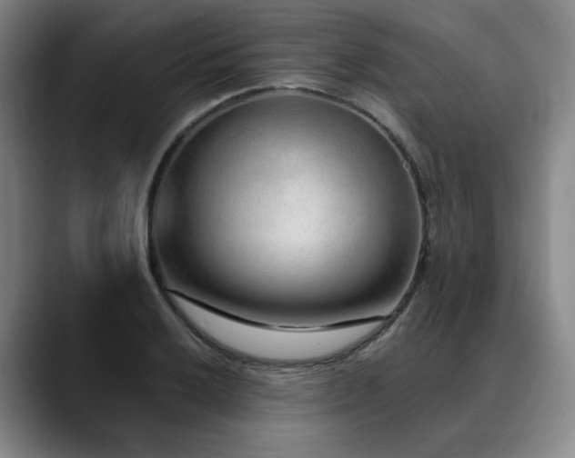 X0000090601032200707171329