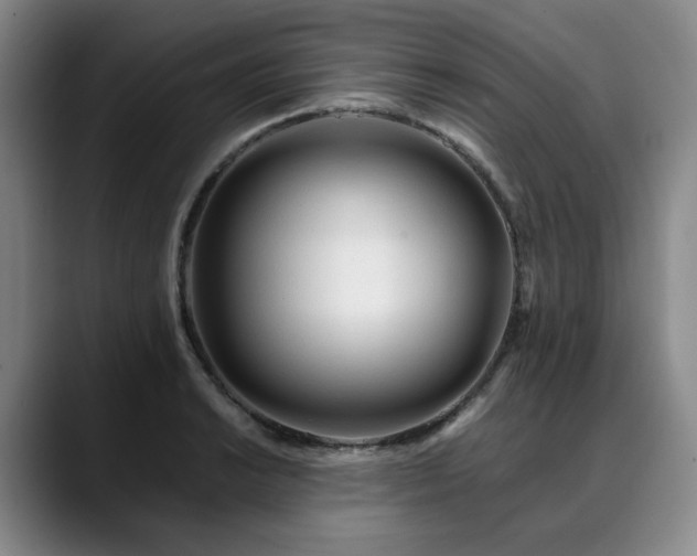 X0000090601038200707171329