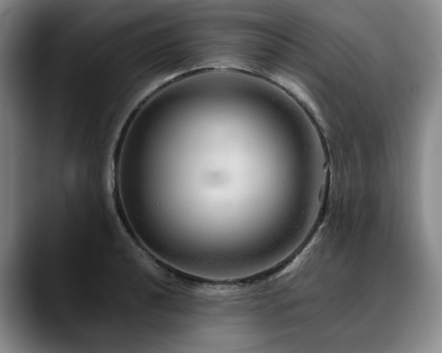 X0000090601040200707171329