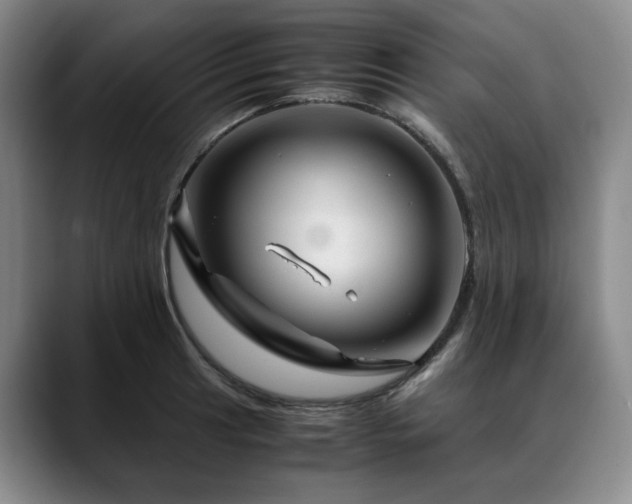 X0000090601041200707171329