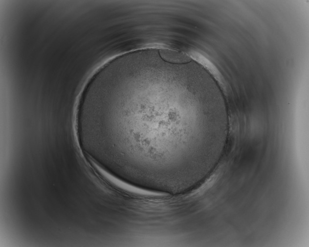 X0000090601043200707171329