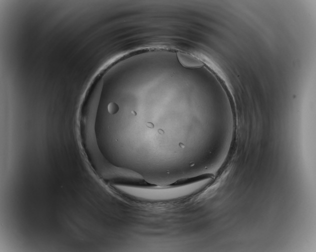 X0000090601045200707171329