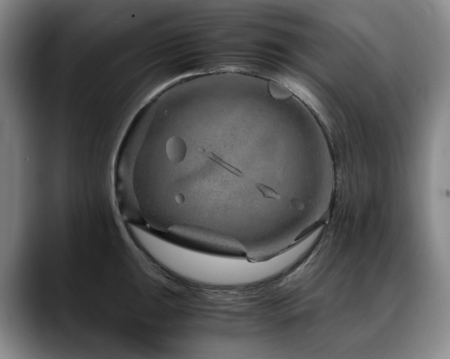 X0000090601047200707171329