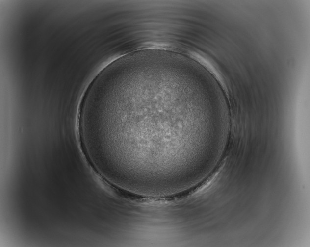 X0000090601050200707171329