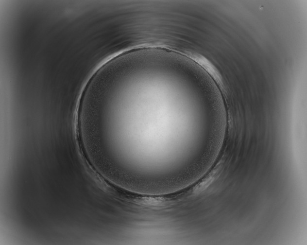 X0000090601052200707171329