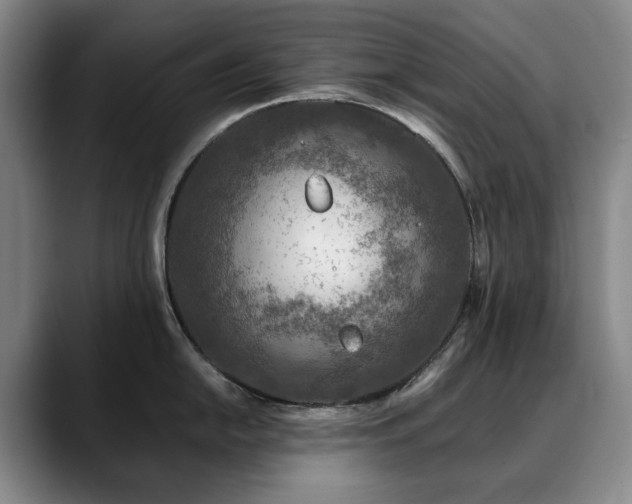 X0000090601054200707171329