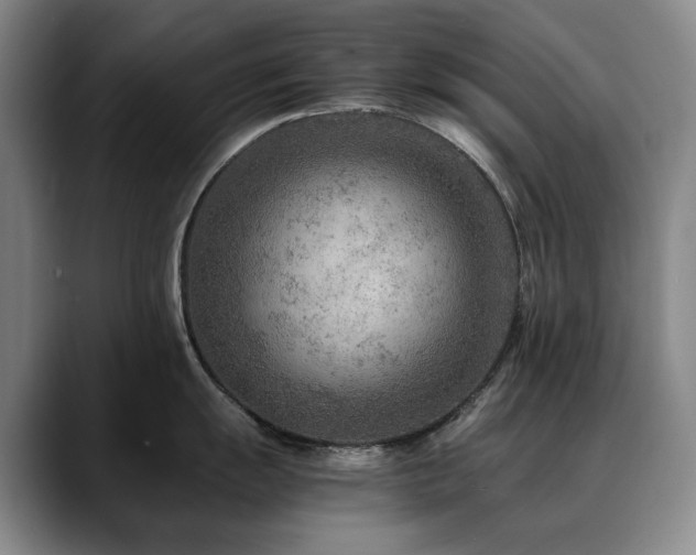X0000090601055200707171329
