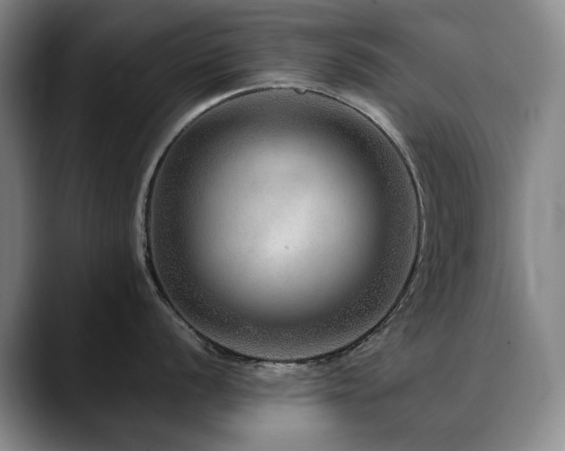 X0000090601056200707171329