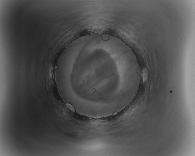 X0000090601059200707171328