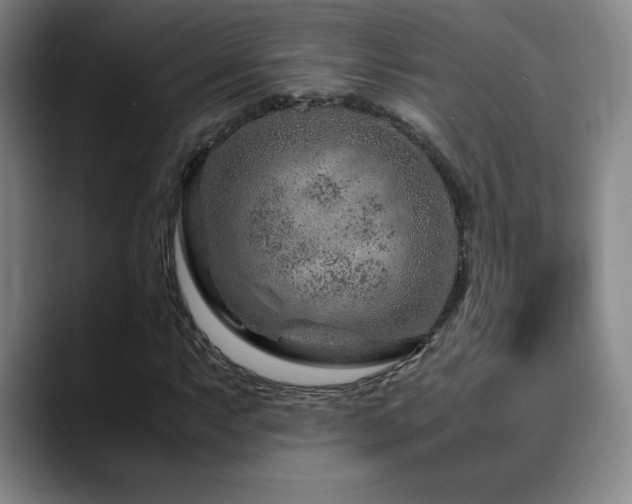 X0000090601063200707171328