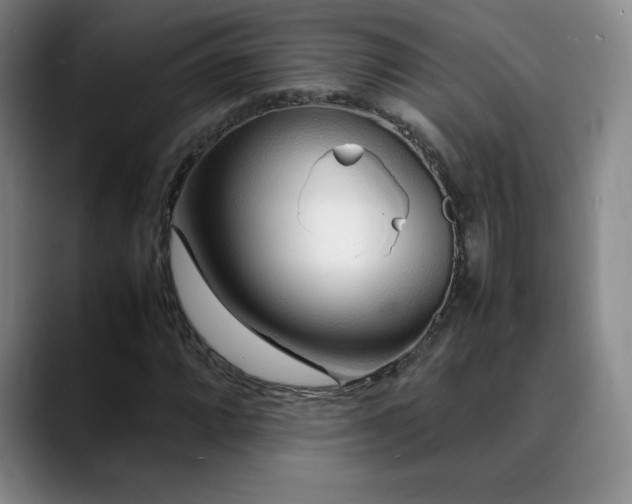X0000090601064200707171328