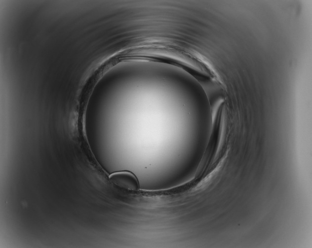 X0000090601066200707171328