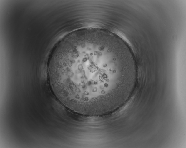 X0000090601067200707171328