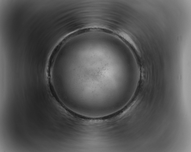 X0000090601068200707171328