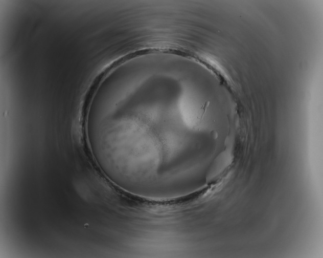 X0000090601071200707171328