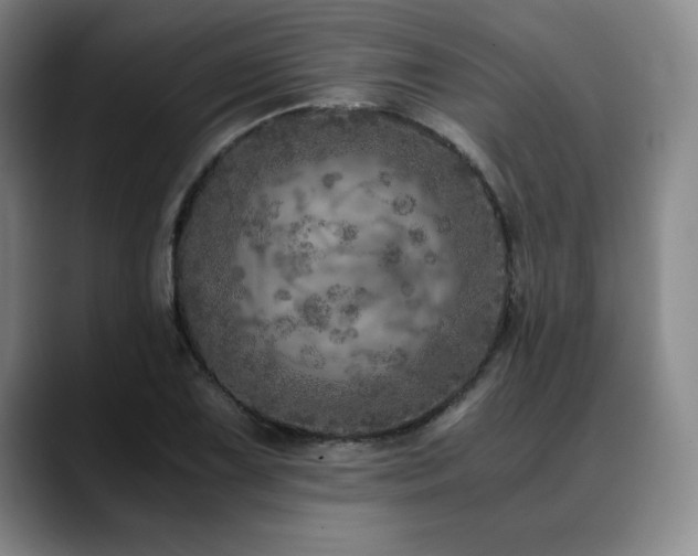 X0000090601075200707171328
