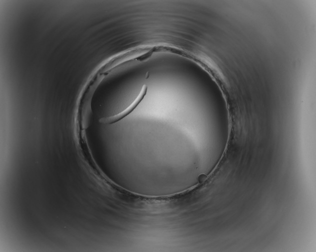 X0000090601076200707171328