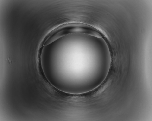X0000090601077200707171328