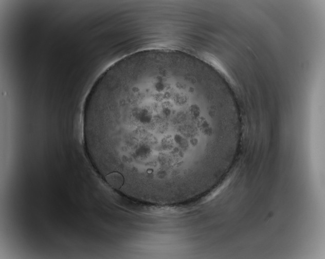 X0000090601079200707171328