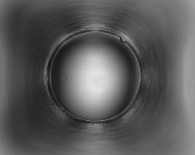 X0000090601082200707171328