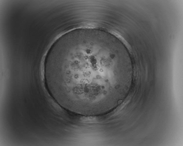 X0000090601083200707171328