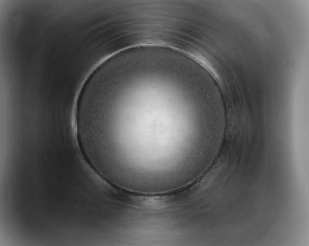 X0000090601084200707171328
