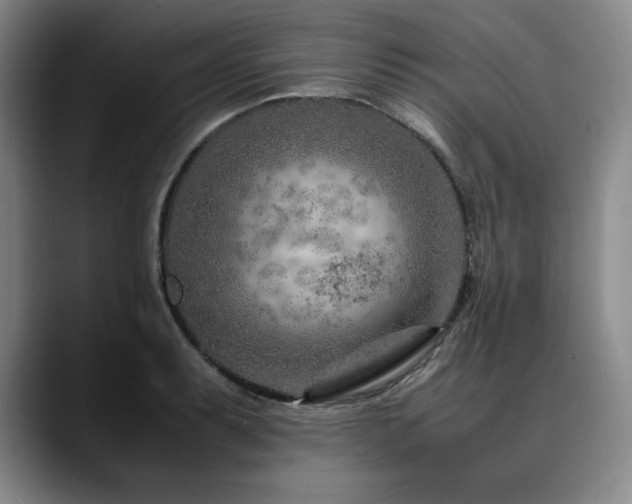 X0000090601087200707171328