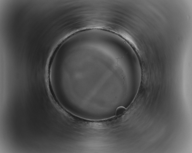 X0000090601088200707171328