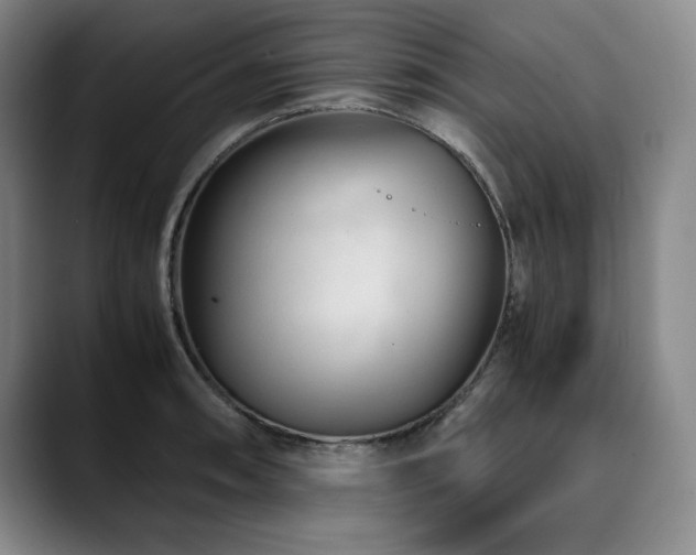 X0000090601090200707171328