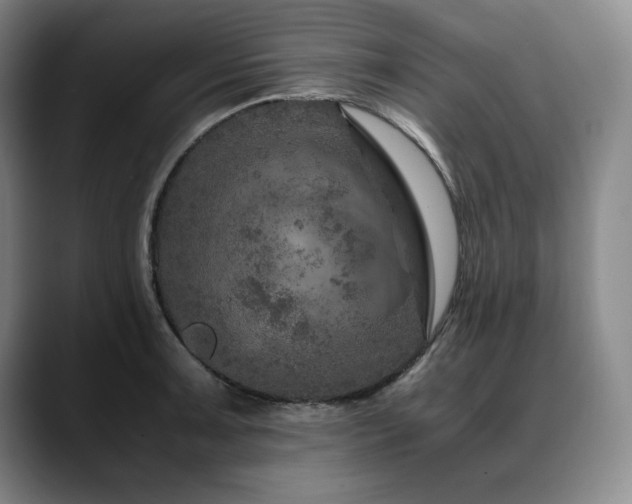 X0000090601091200707171328