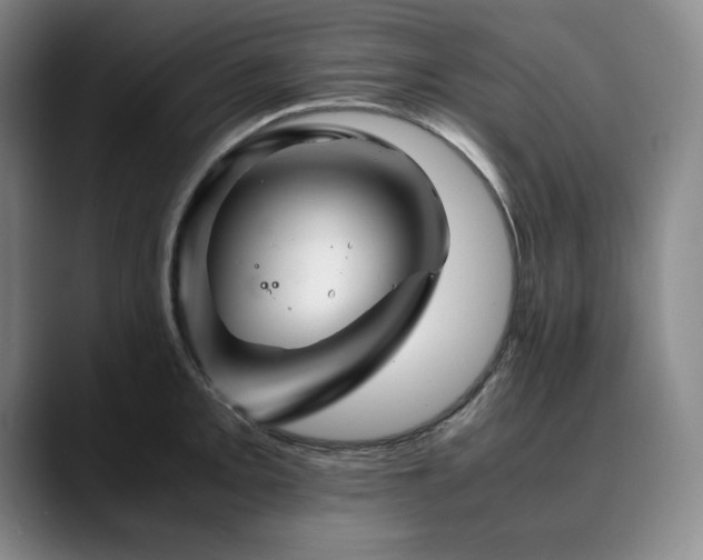 X0000090601093200707171328