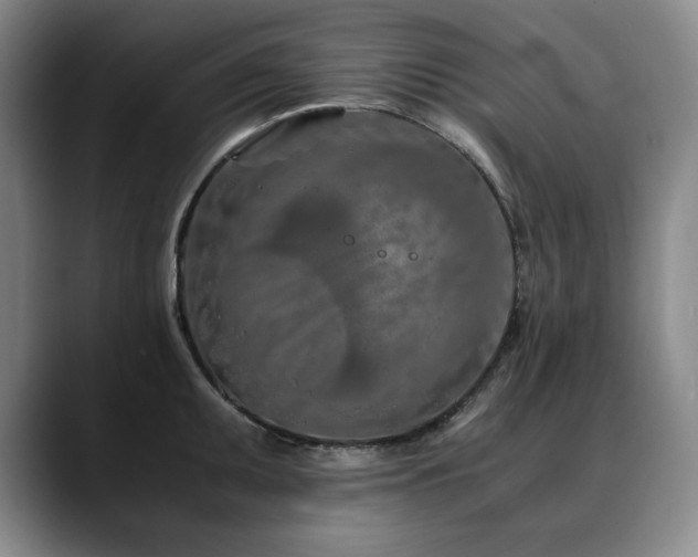 X0000090601095200707171328