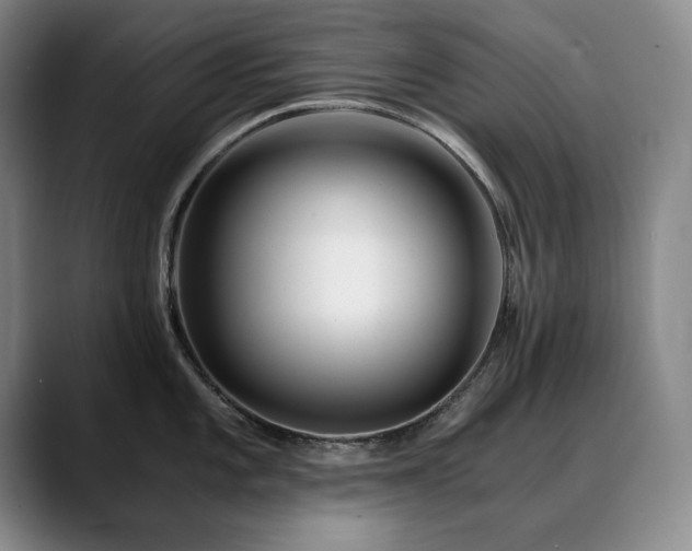 X0000090601101200707171328